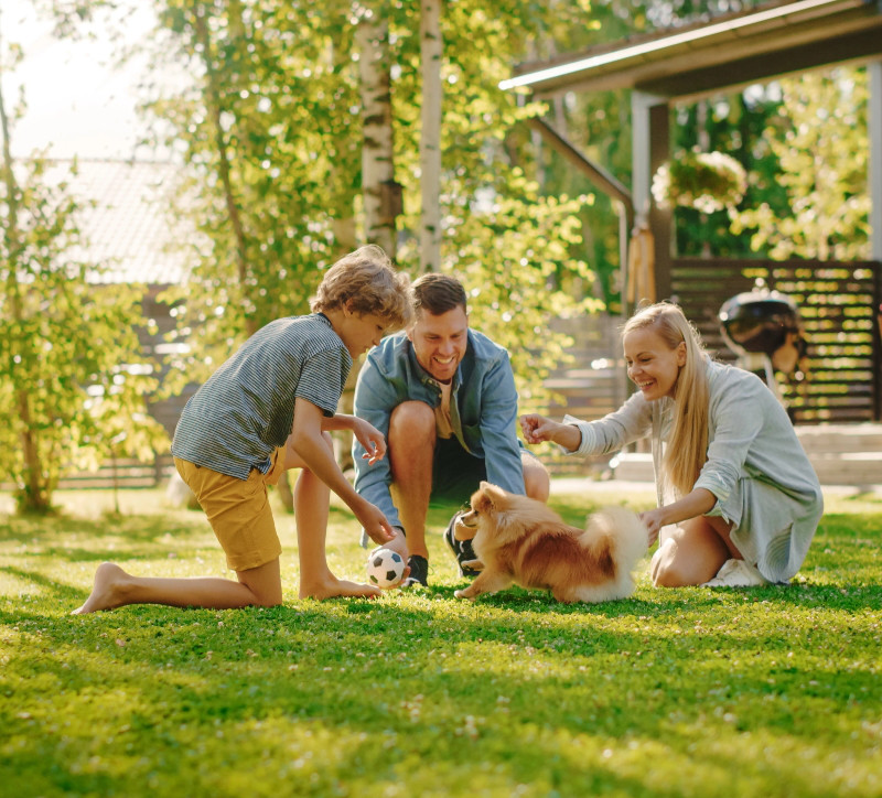 a lawn thats always mission ready